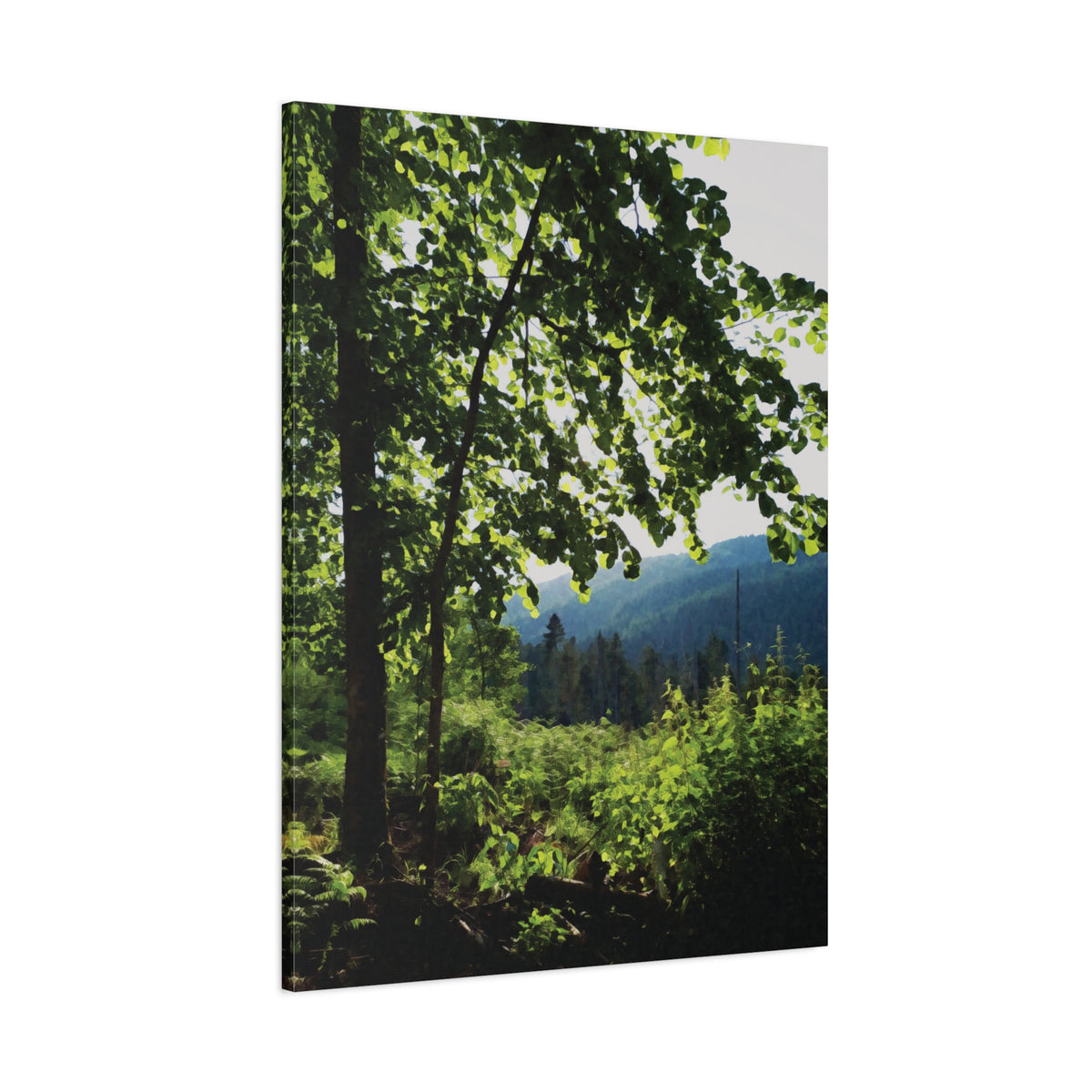 Stretched Matte Canvas - Forest