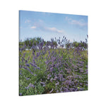 Stretched Matte Canvas - Flower of Lavender (Variant 1)