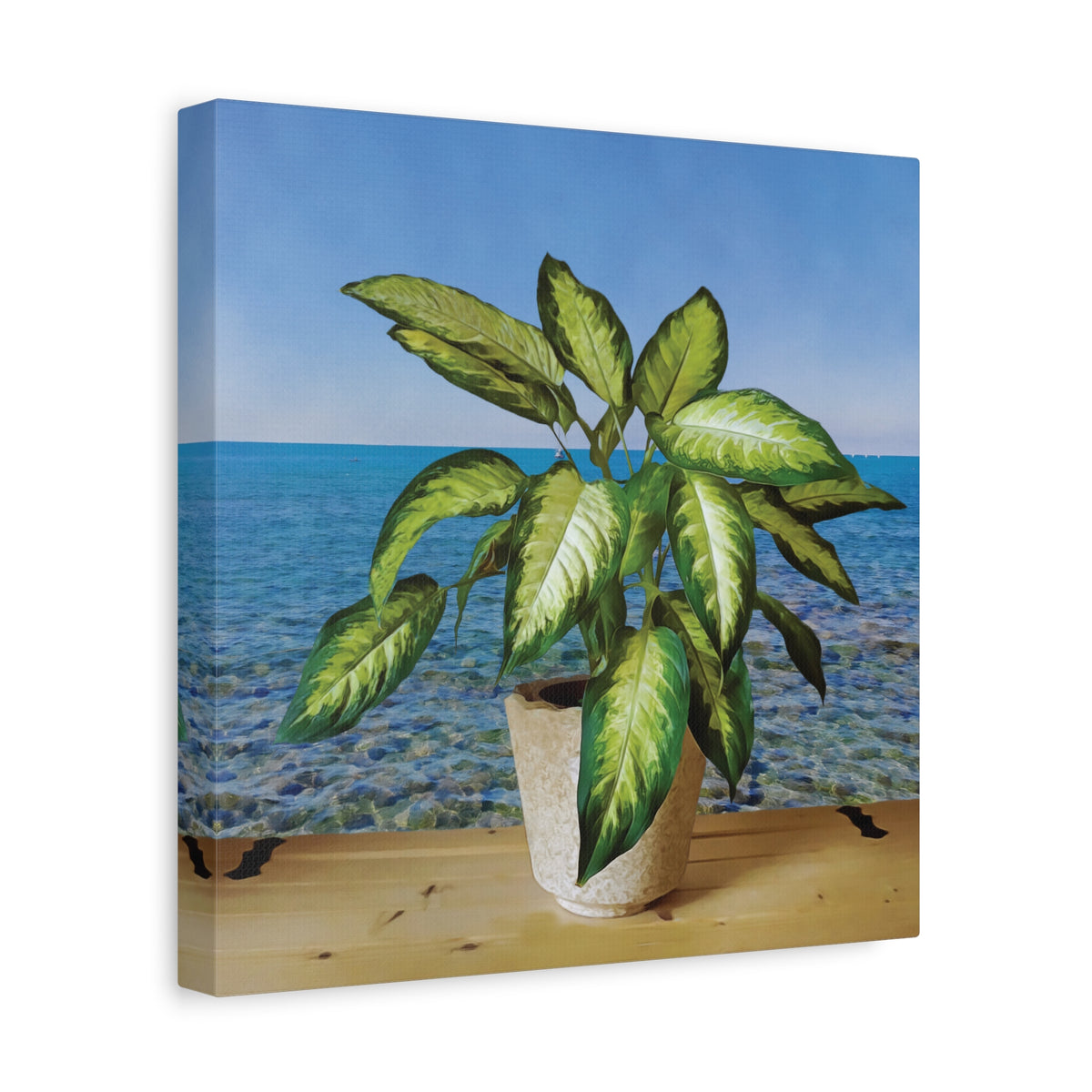 Stretched Matte Canvas - Dieffenbachia plant and Sea Landscape