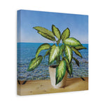 Stretched Matte Canvas - Dieffenbachia plant and Sea Landscape