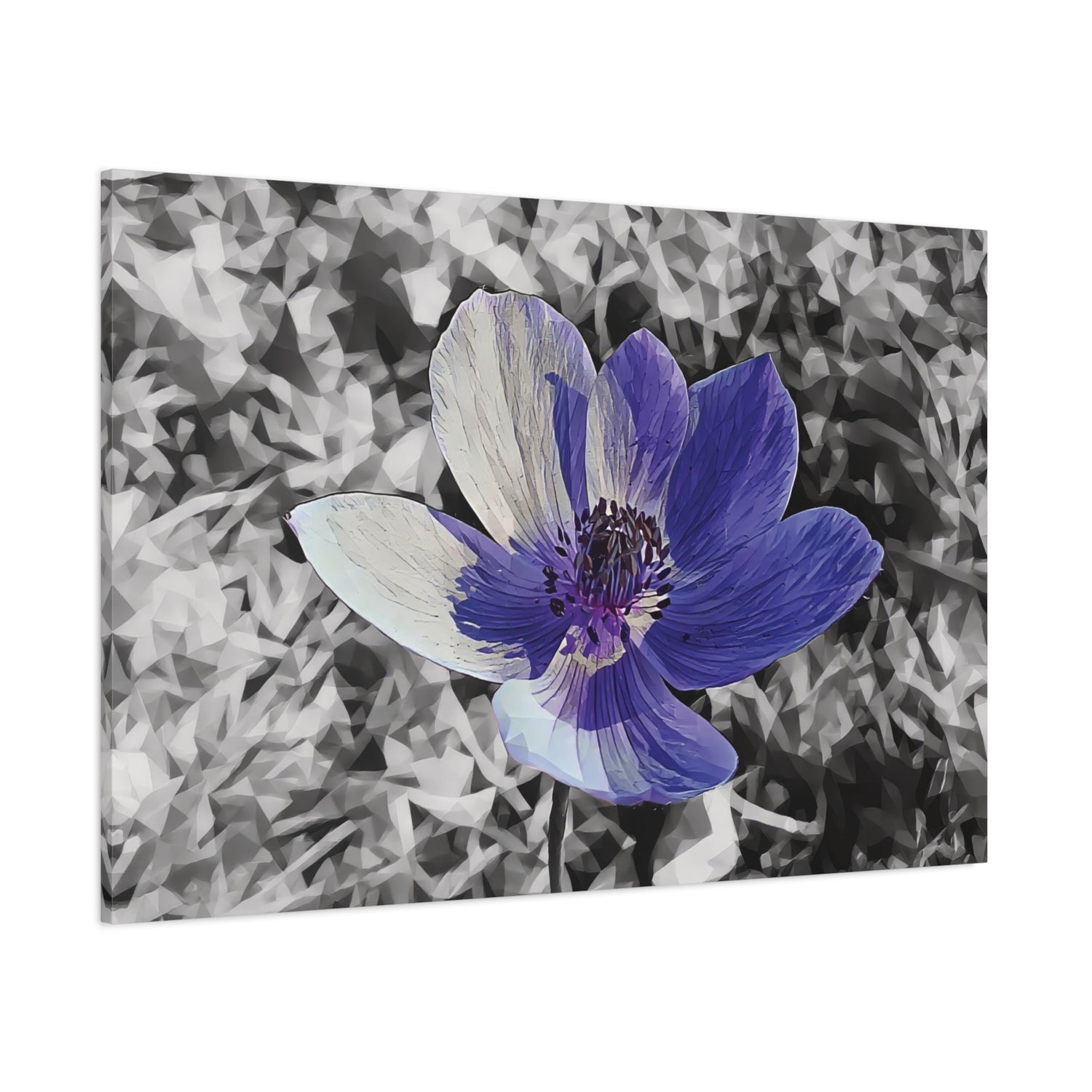 Stretched Matte Canvas - Poly Art - Flower of Anemone