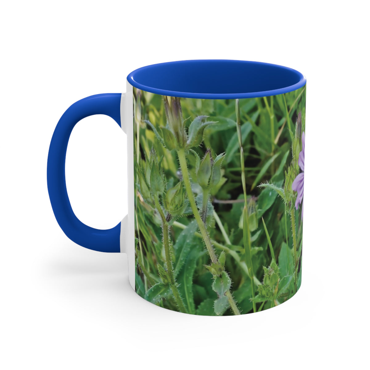 Mug 11oz - Flower of Malva Sylvestris