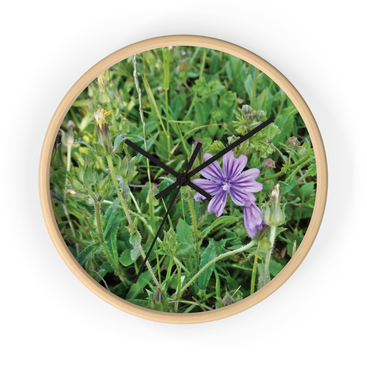 Wall Clock - Flower of Malva Sylvestris
