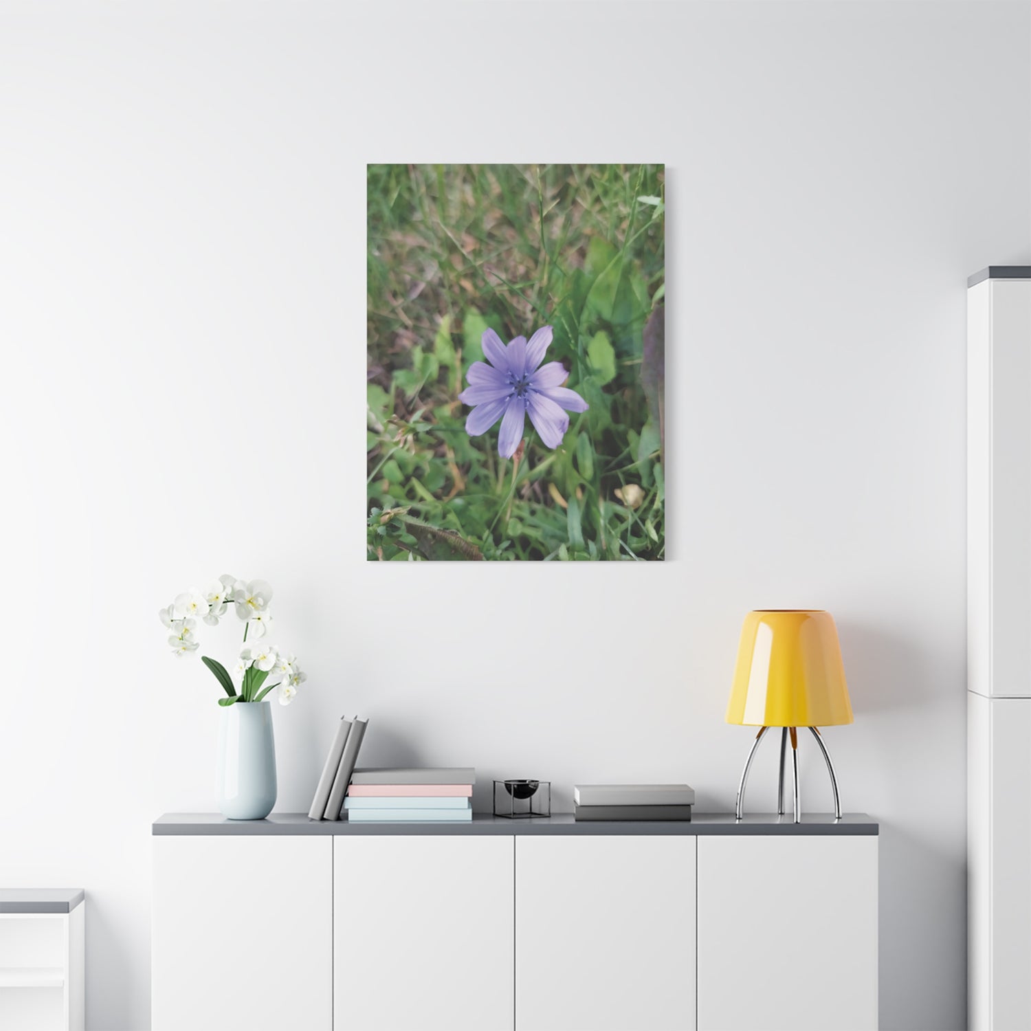 Stretched Matte Canvas - Flower of Cicoria