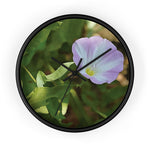 Wall Clock - Flower of Convolvulus Arvensis/Vilucchio