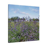 Stretched Matte Canvas - Flower of Lavender (Variant 1)