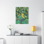 Stretched Matte Canvas - Flower of Spartium Junceum