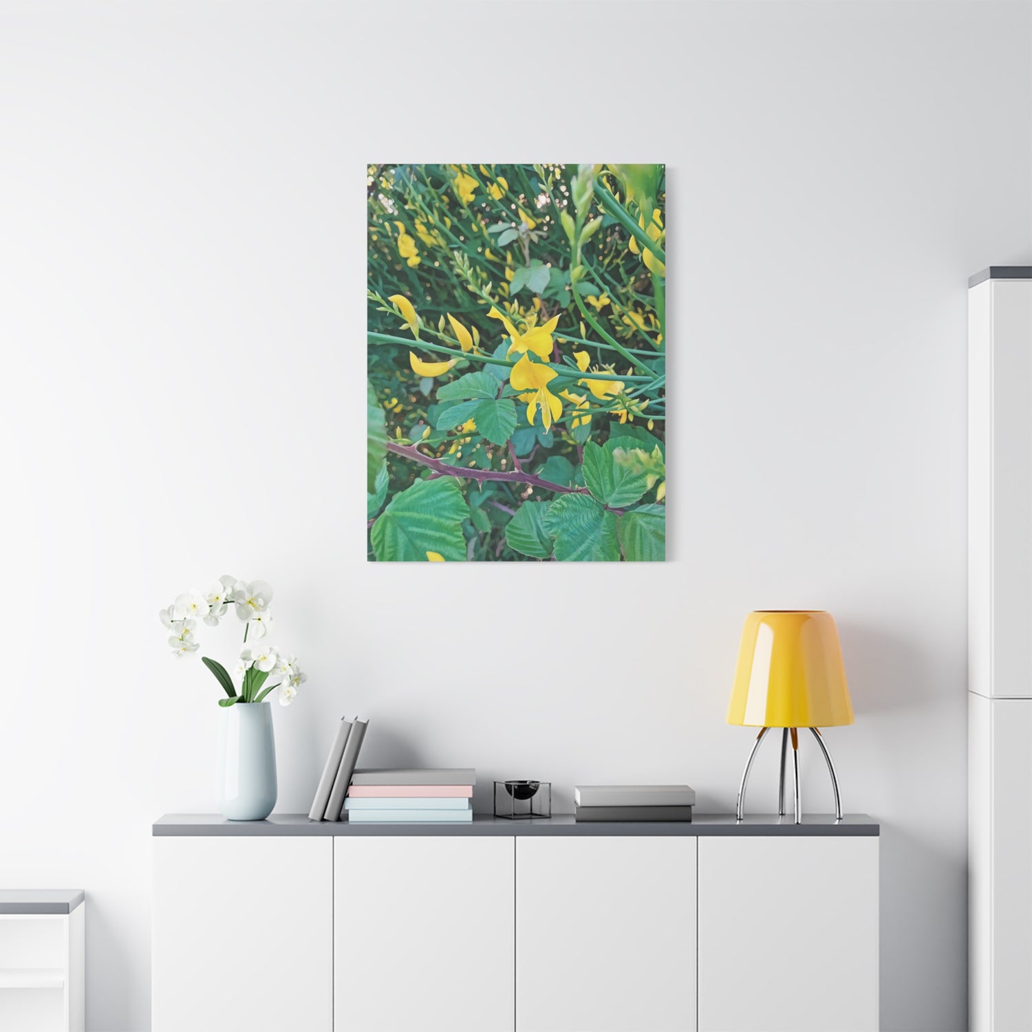 Stretched Matte Canvas - Flower of Spartium Junceum