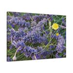 Stretched Matte Canvas - Flower of Lavender and Chamomile