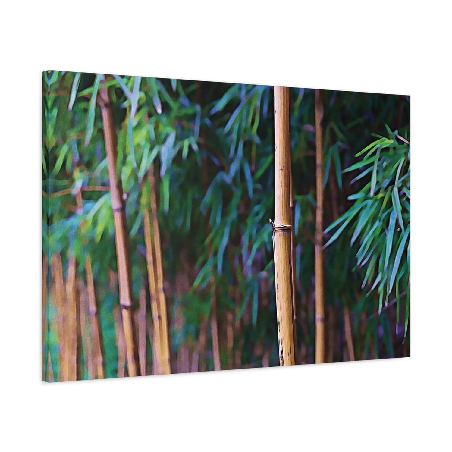 Stretched Matte Canvas - Bamboo (Variant 2)