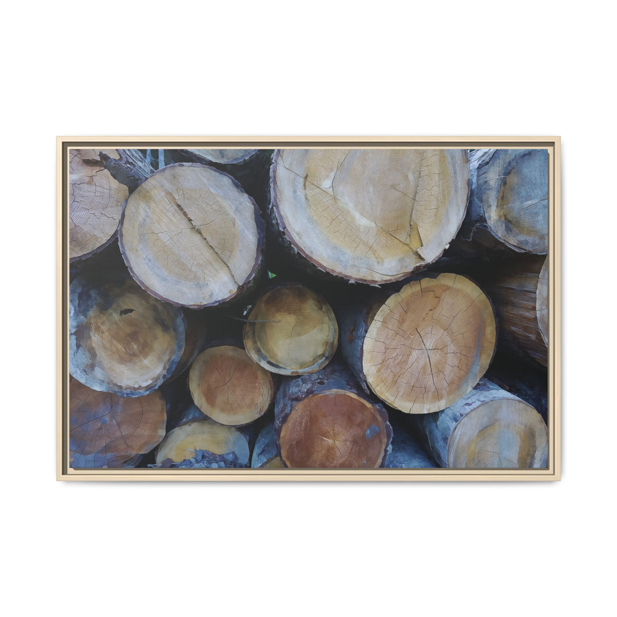 Forest Wood (II) | Framed Canvas