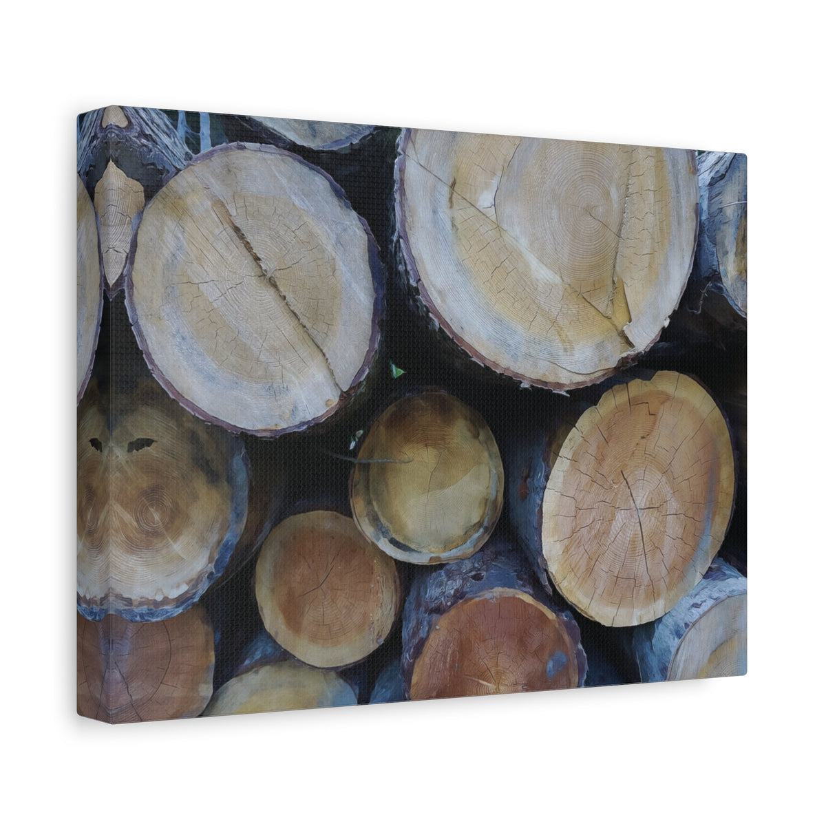 Stretched Matte Canvas - Wooden Trunks (Variant 2)