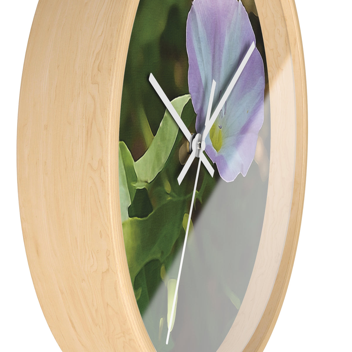 Wall Clock - Flower of Convolvulus Arvensis/Vilucchio