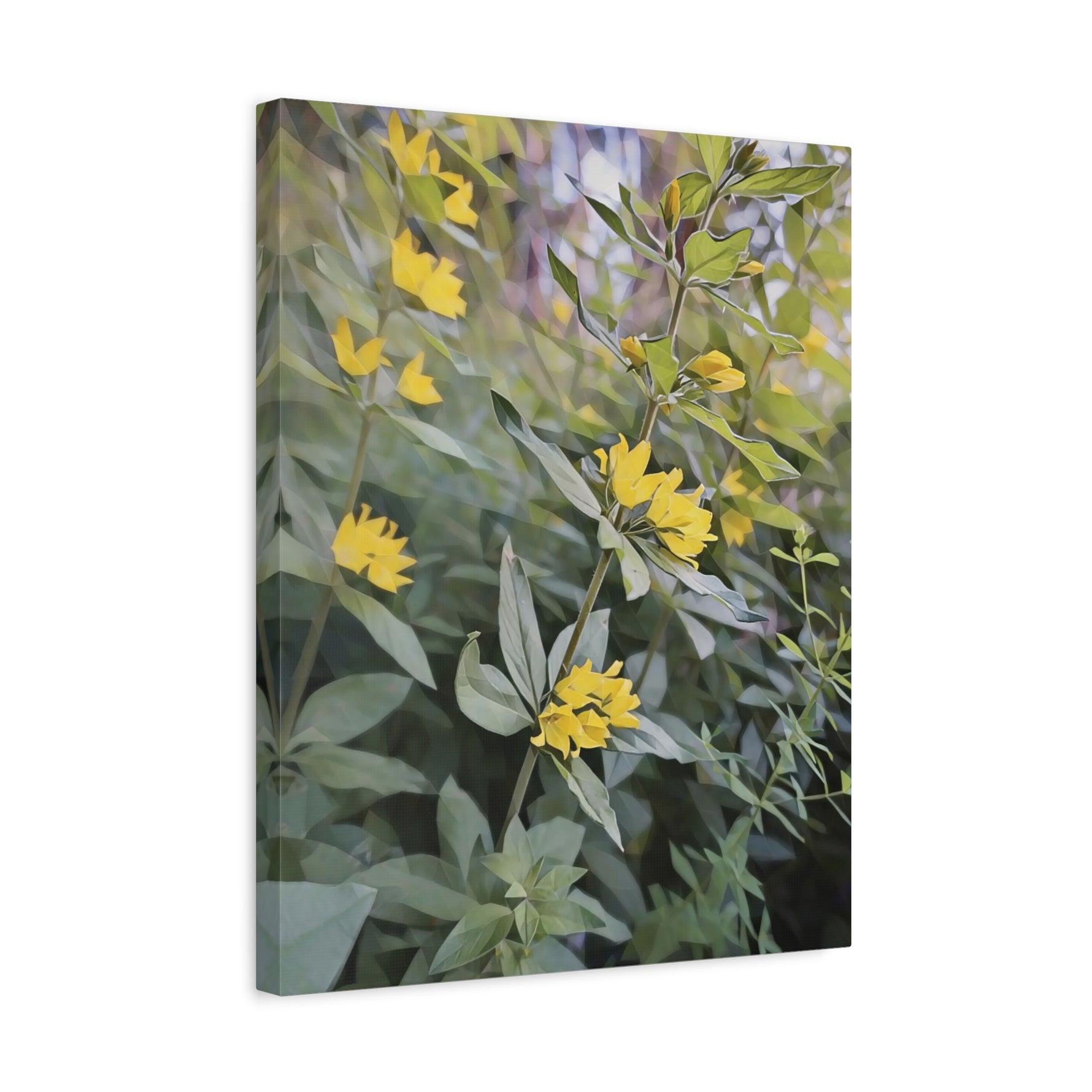 Stretched Matte Canvas - Poly Art - Flower of Lysimachia