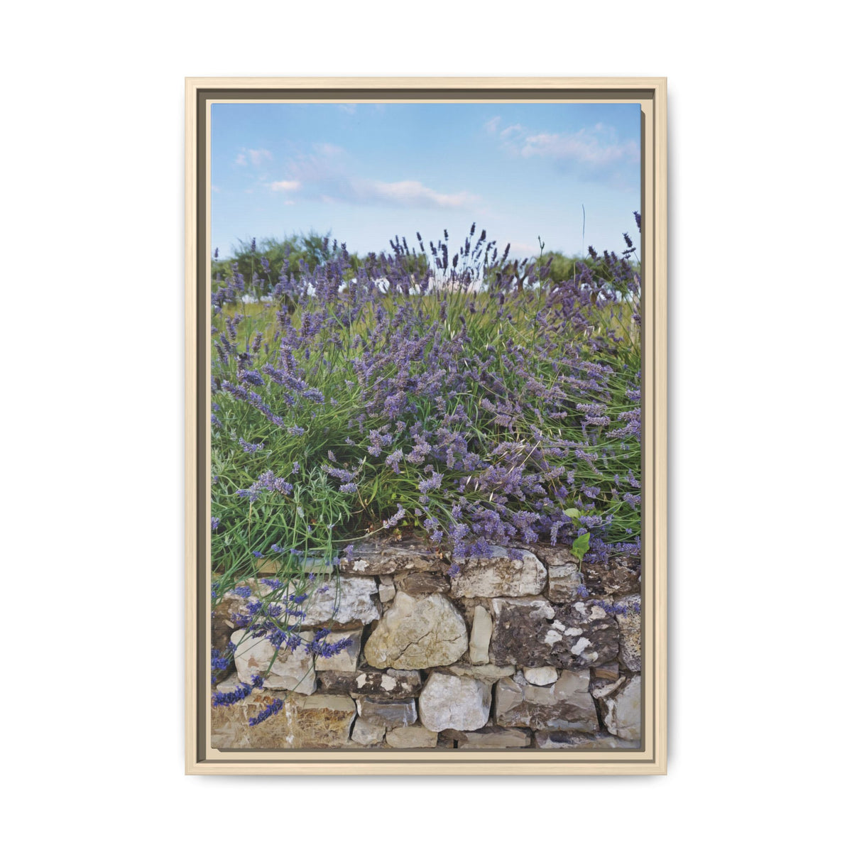 Lavender | Framed Canvas