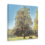 Stretched Matte Canvas - Poly Art - Tree in a lawn (Variant 1)