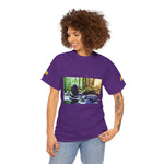 Unisex Heavy Cotton Tee - Stone Balance (Variant 2)