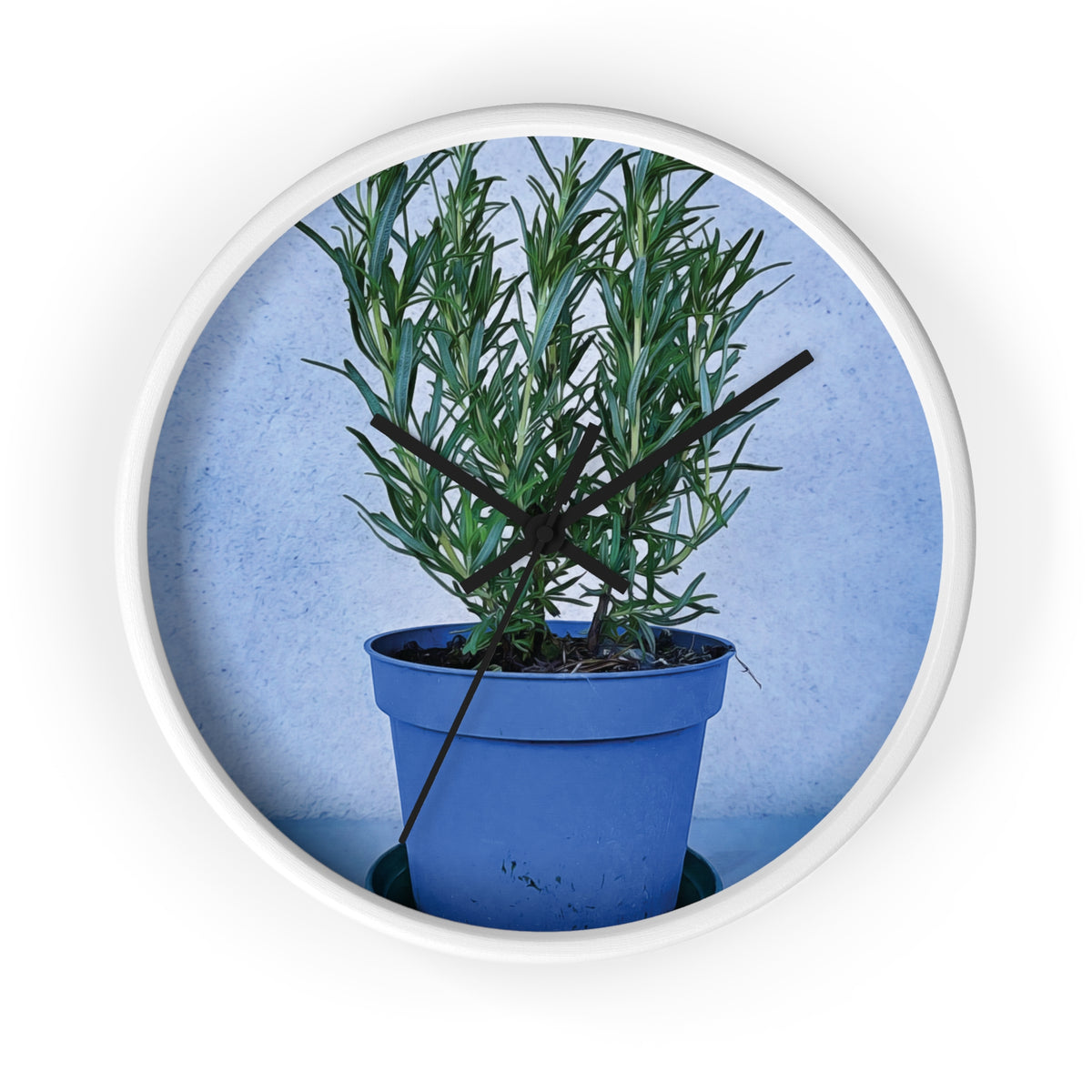 Wall Clock - Rosemary Plant