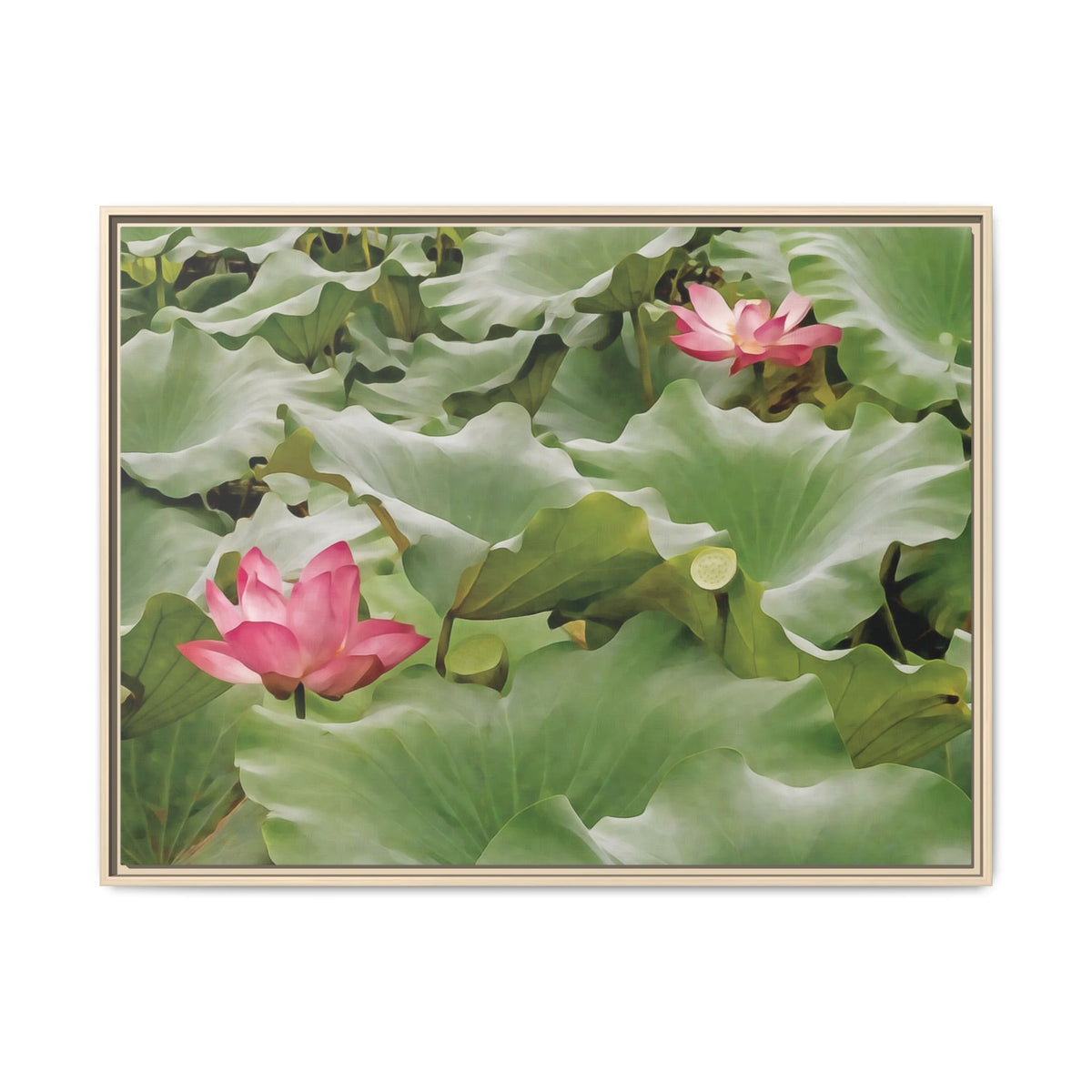Lotus Blossoms | Framed Canvas