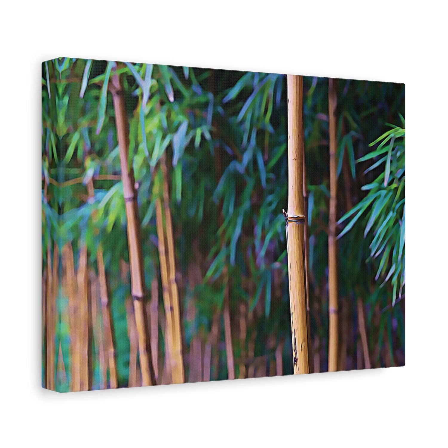 Stretched Matte Canvas - Bamboo (Variant 2)