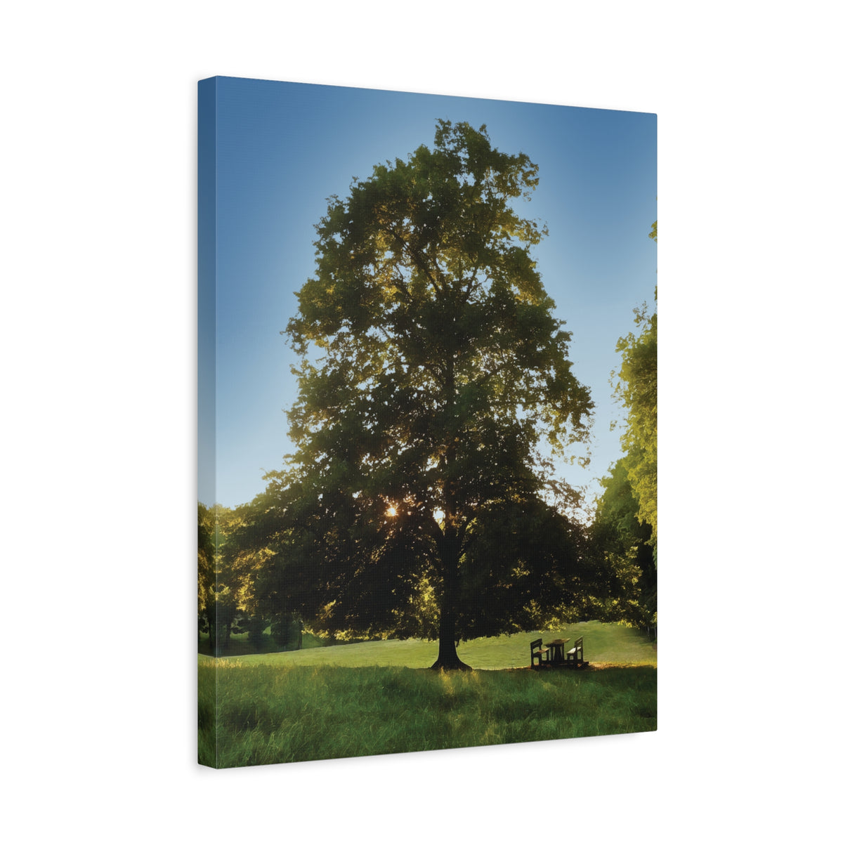 Stretched Matte Canvas - Tree in a lawn (Variant 1)