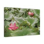 Stretched Matte Canvas - Flower of Lotus