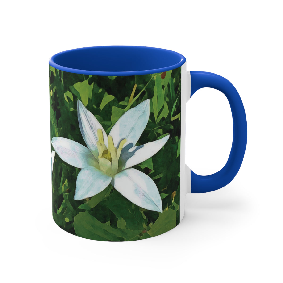 Mug 11oz - Flower of Ornithogalum