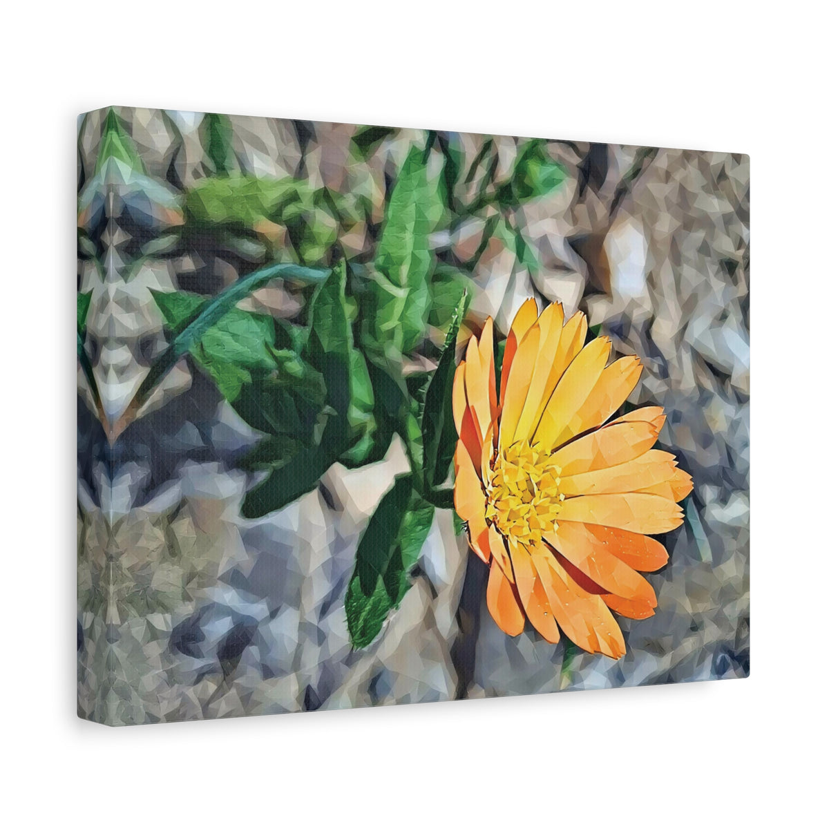 Stretched Matte Canvas - Poly Art - Flower of Calendula (Variant 2)