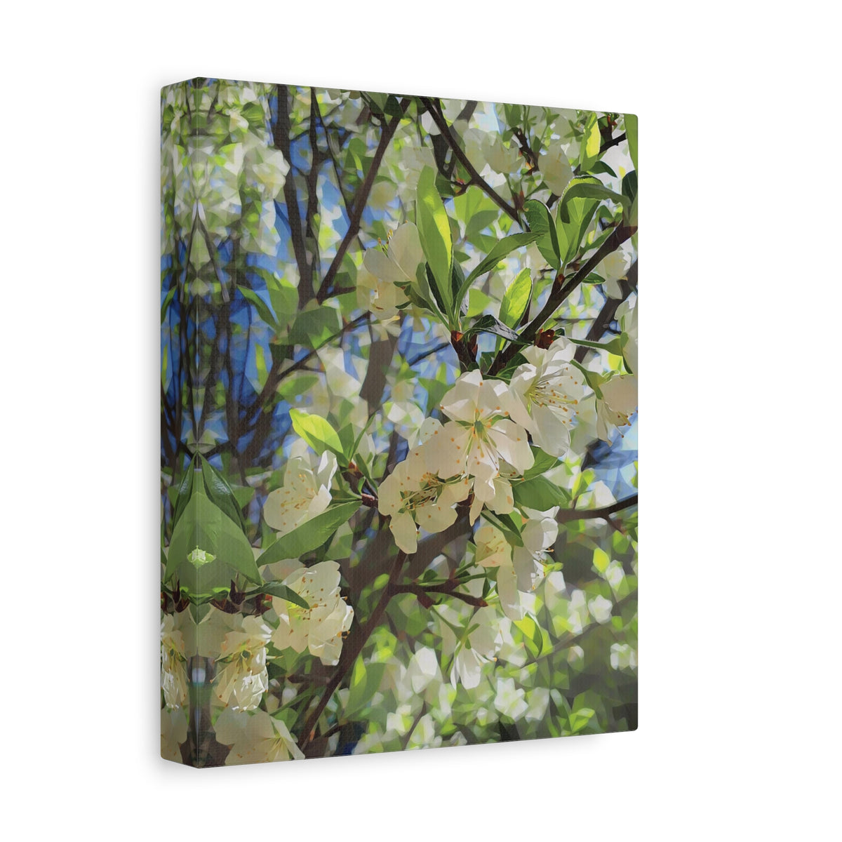Stretched Matte Canvas - Poly Art - Apple's Tree Flower (Variant 1)