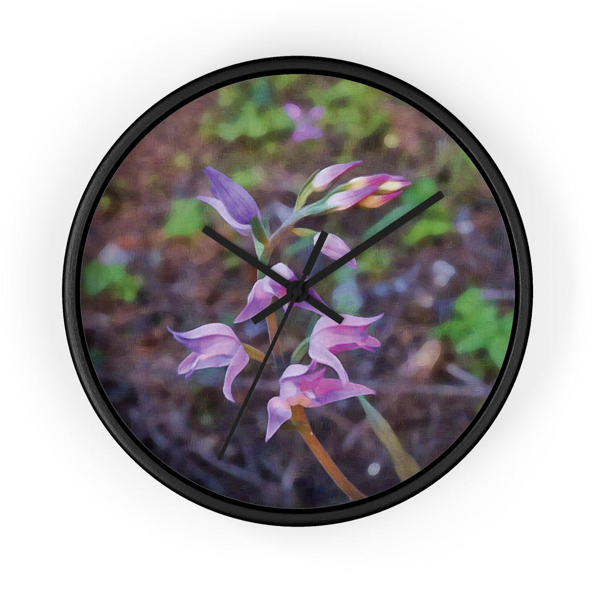 Wall Clock - Flower of Cephalanthera Rubra