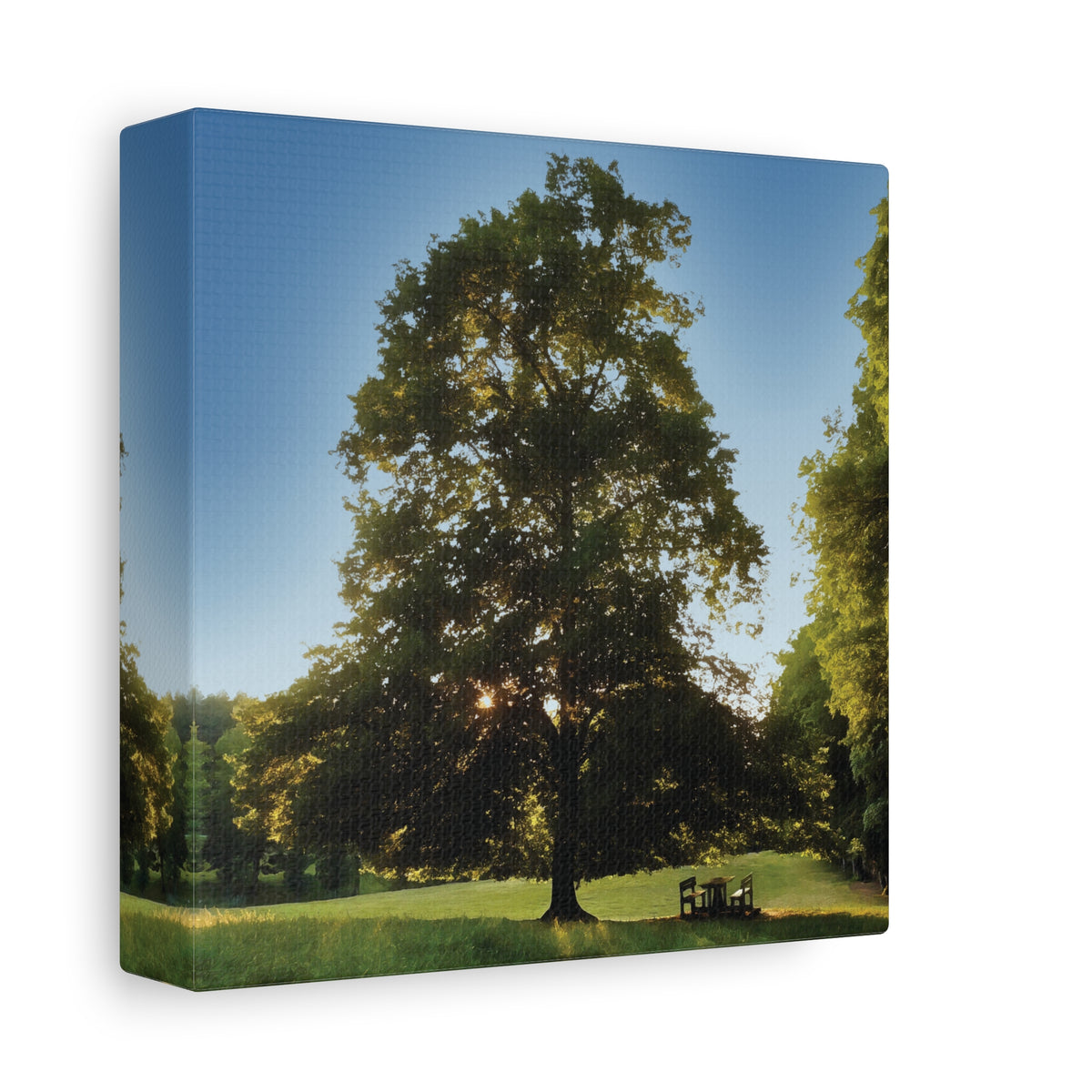 Stretched Matte Canvas - Tree in a lawn (Variant 1)