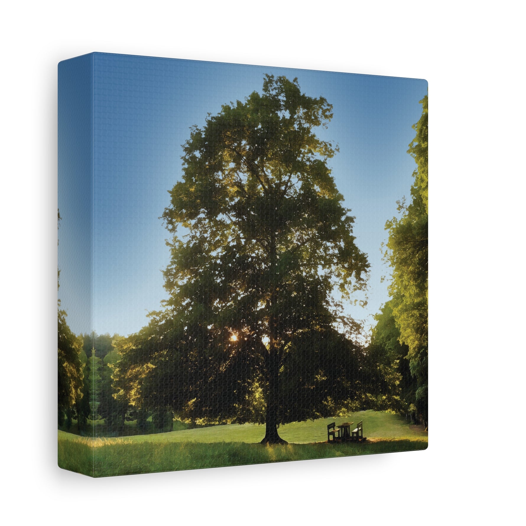Stretched Matte Canvas - Tree in a lawn (Variant 1)