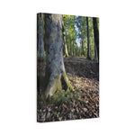 Stretched Matte Canvas - Poly Art - Forest (Variant 14)