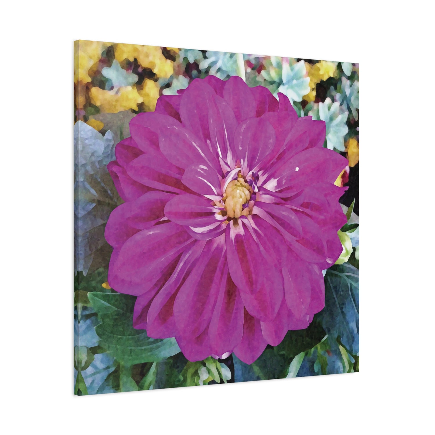 Stretched Matte Canvas - Flower of Dahlia