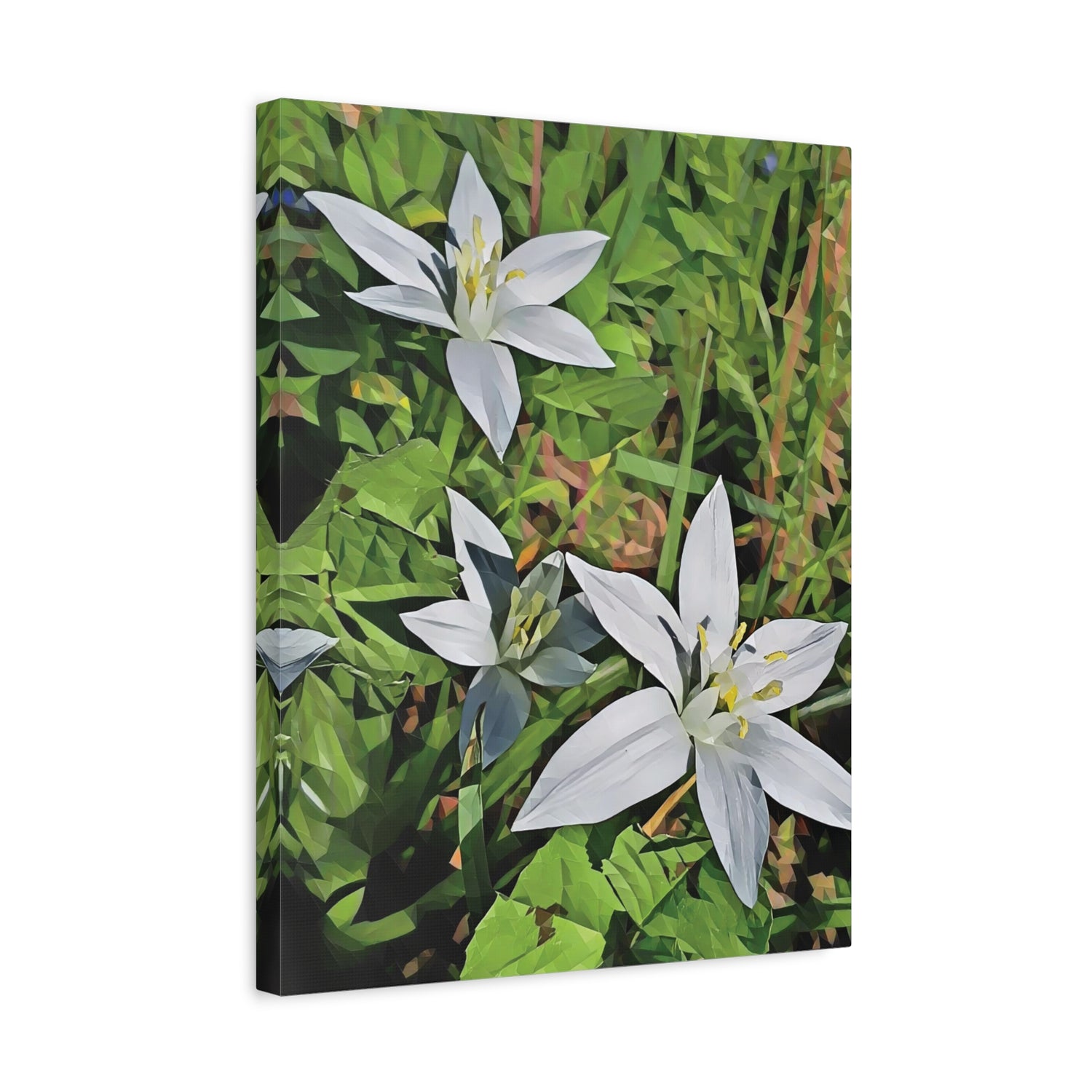 Stretched Matte Canvas - Poly Art - Flower of Ornithogalum (Variant 1)