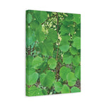 Stretched Matte Canvas - Tilia Tree Leaves