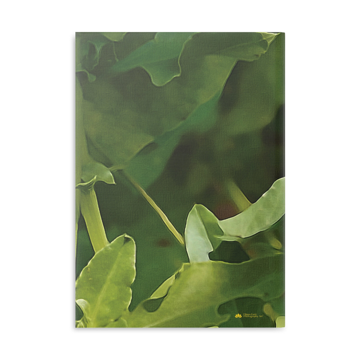 Hardcover Notebook with Puffy Covers - Flower of Convolvulus Arvensis/Vilucchio