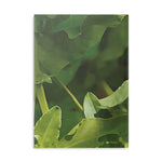 Hardcover Notebook with Puffy Covers - Flower of Convolvulus Arvensis/Vilucchio