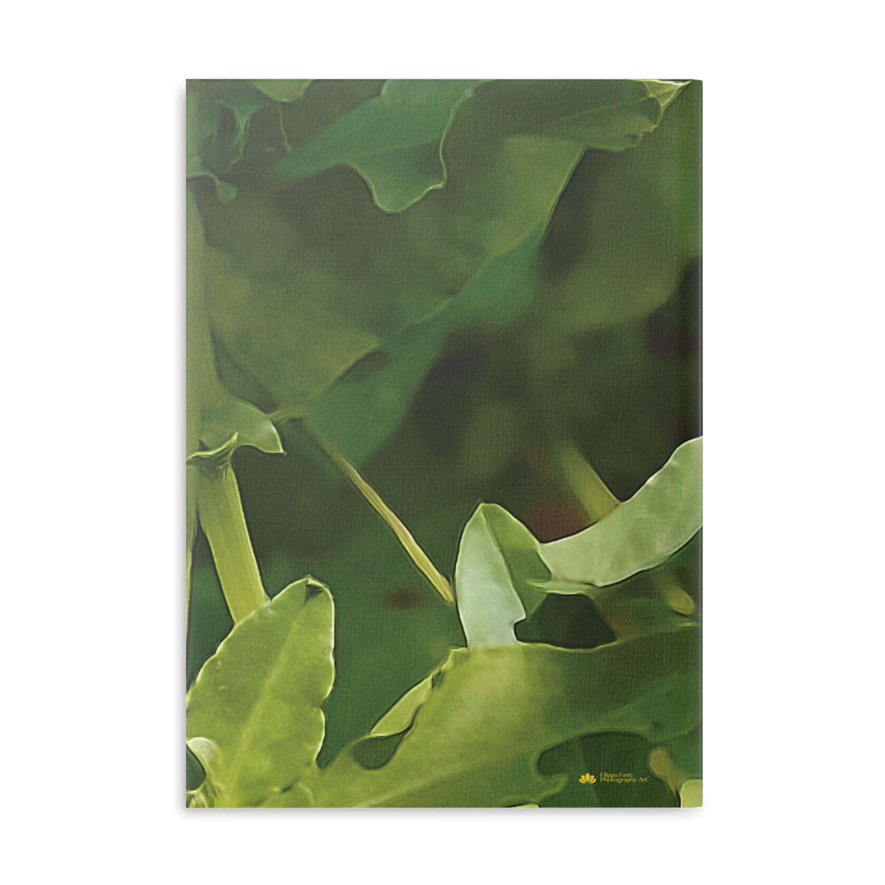 Hardcover Notebook with Puffy Covers - Flower of Convolvulus Arvensis/Vilucchio