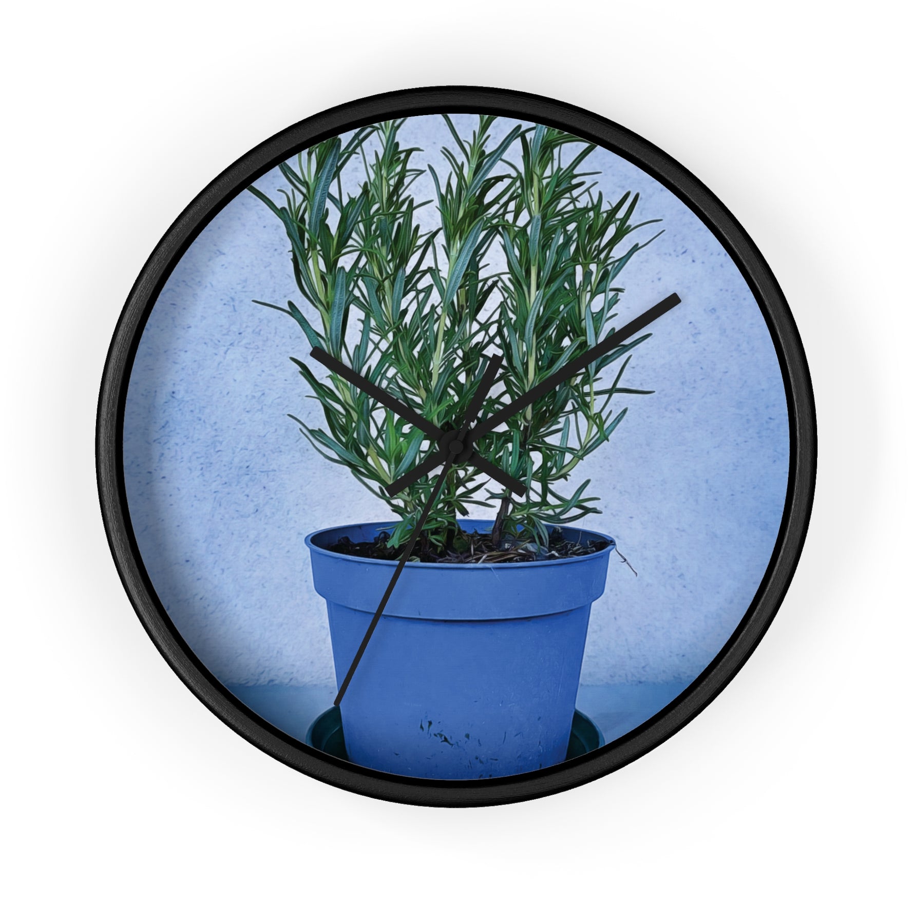 Wall Clock - Rosemary Plant