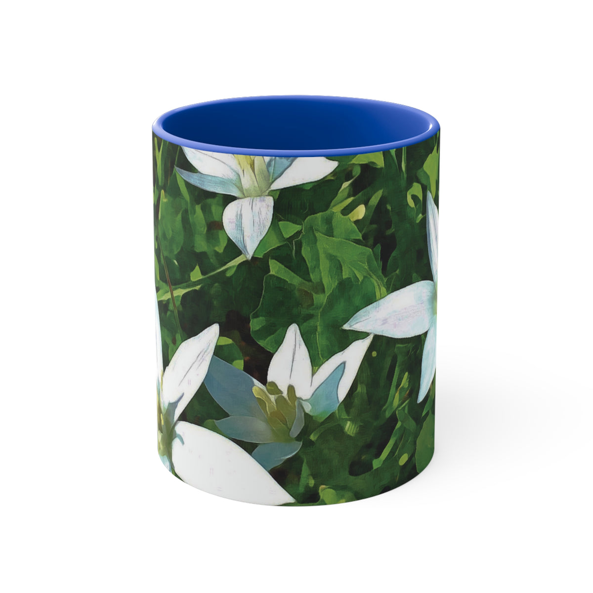 Mug 11oz - Flower of Ornithogalum