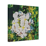 Stretched Matte Canvas - Poly Art - Flower, White