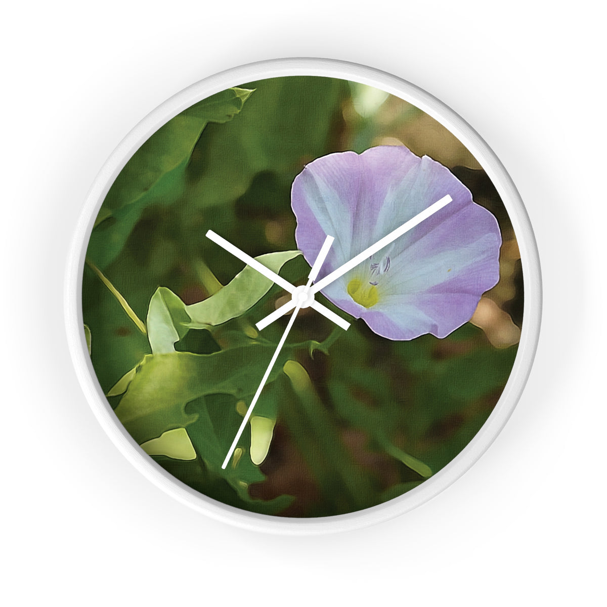 Wall Clock - Flower of Convolvulus Arvensis/Vilucchio