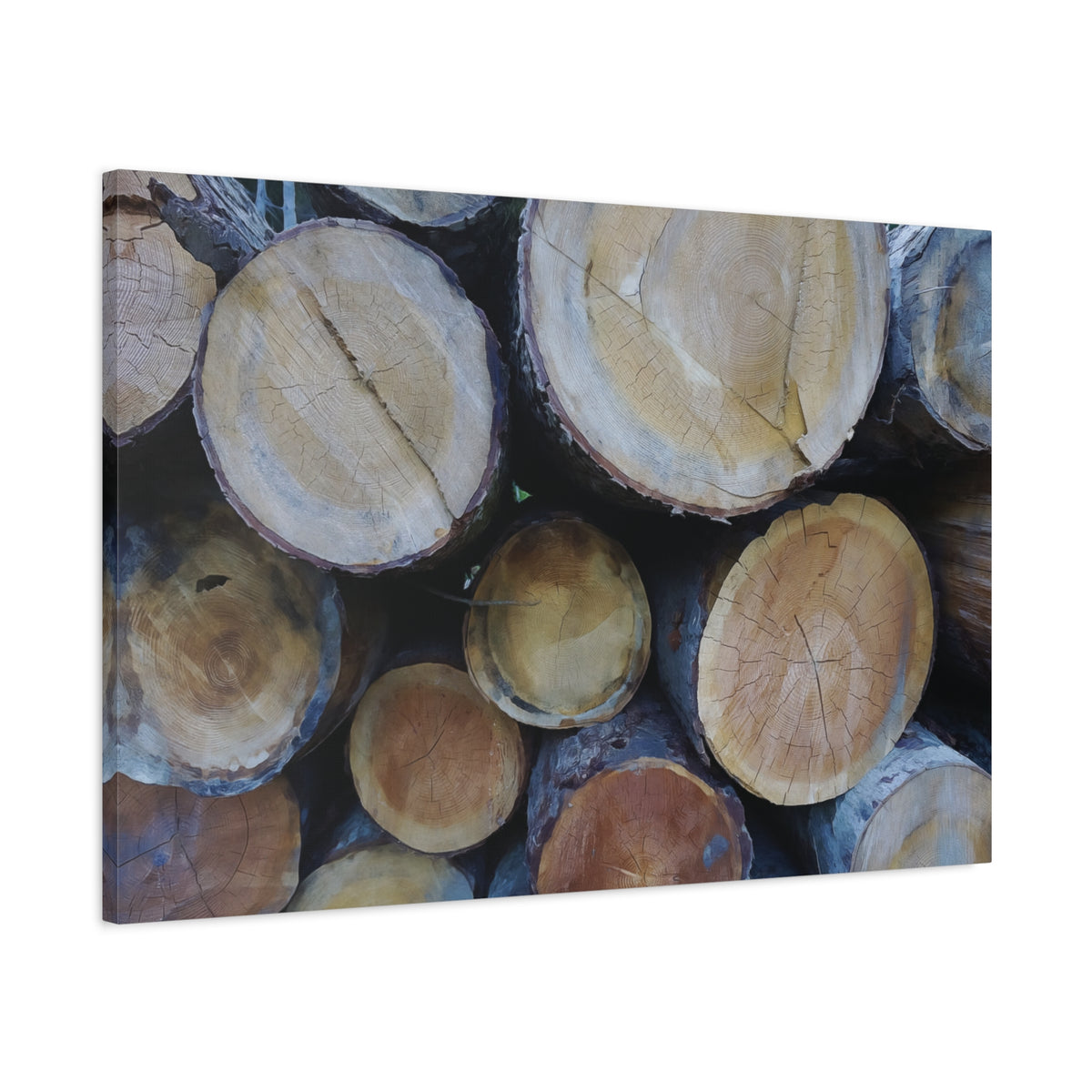 Stretched Matte Canvas - Wooden Trunks (Variant 2)
