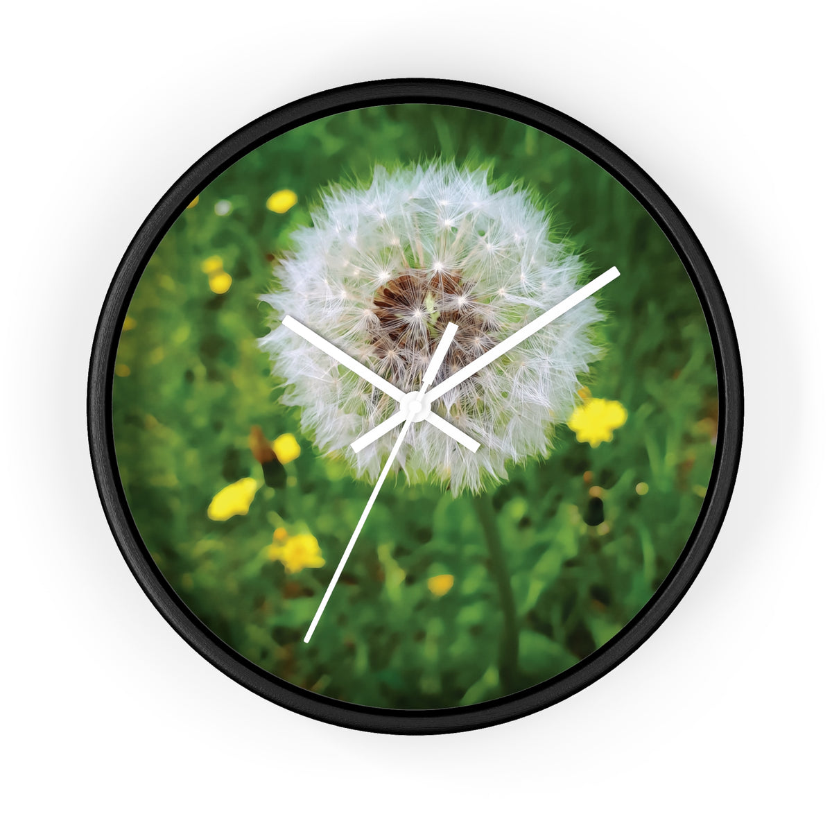 Wall Clock - Flower of Dandelion