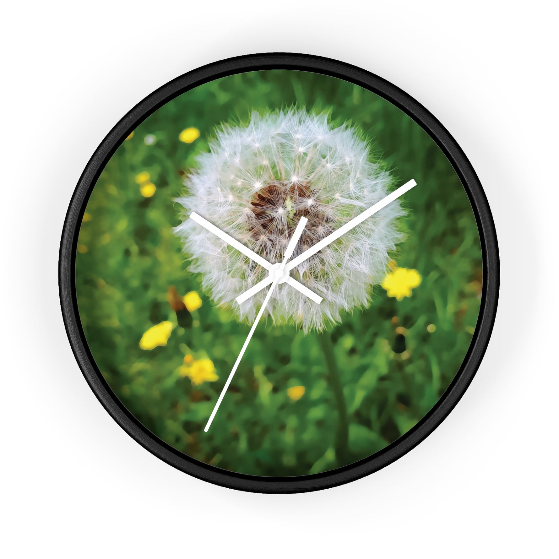 Wall Clock - Flower of Dandelion