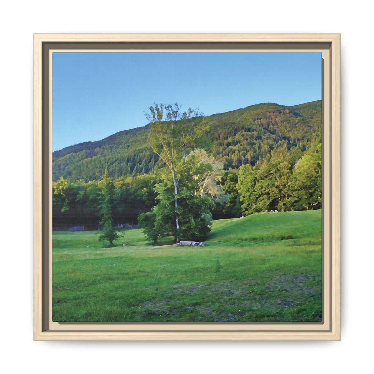 Woodland Meadow | Framed Canvas