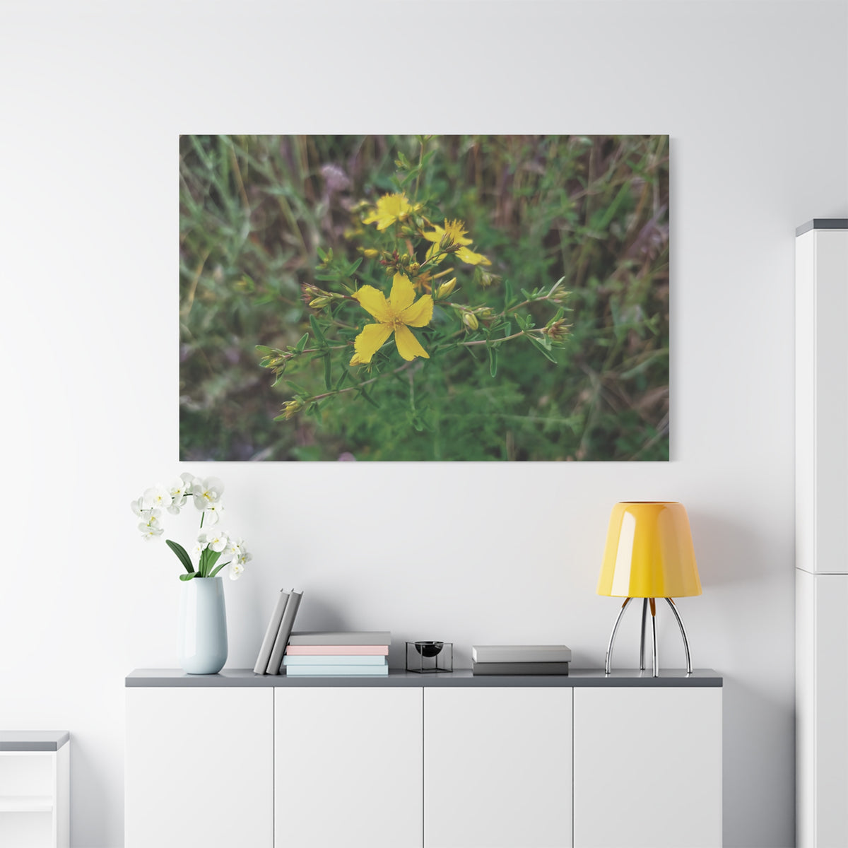 Stretched Matte Canvas - Flower of Hypericum Perforatum