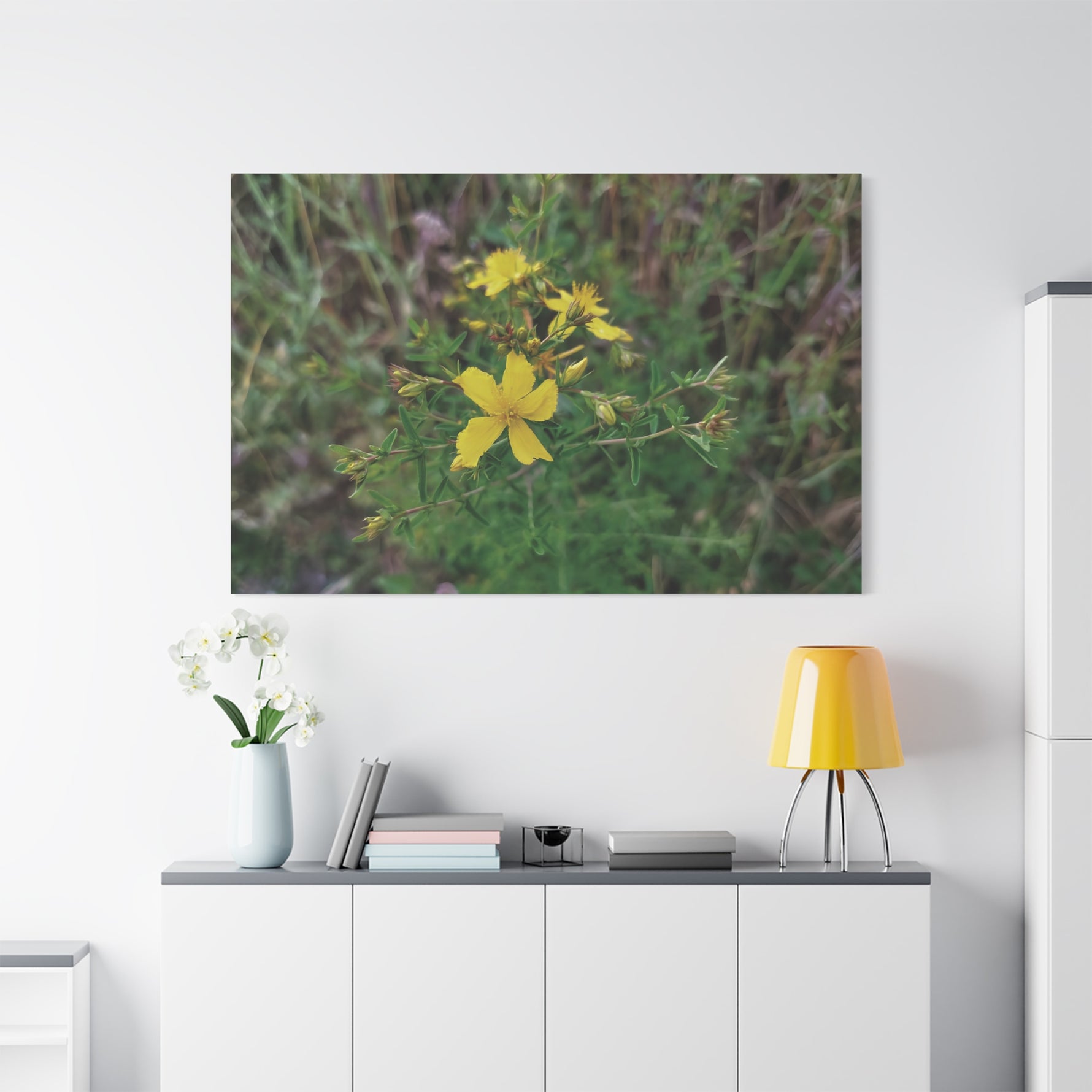 Stretched Matte Canvas - Flower of Hypericum Perforatum