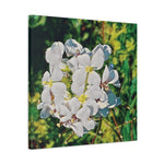 Stretched Matte Canvas - Poly Art - Flower, White
